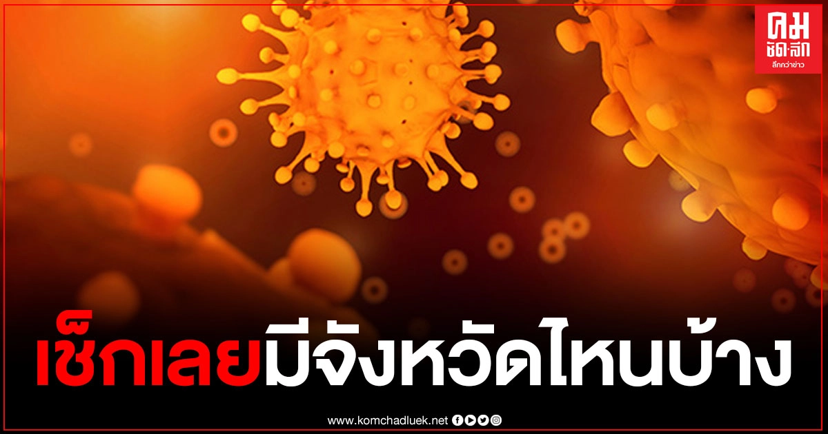 ใครอยู่จังหวัดไหนบ้าง เช็กเลย เปิดรายชื่อ 39 จังหวัด เชื้อโควิดระบาด ใครอยู่จังหวัดไหนบ้าง เช็กเลย เปิดรายชื่อ 39 จังหวัด เชื้อโควิดระบาด