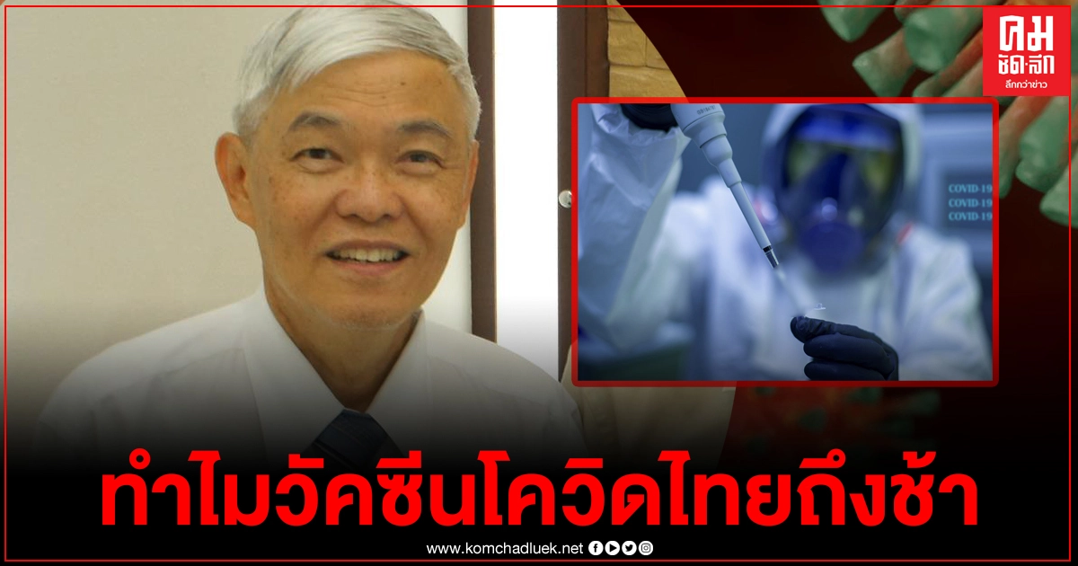 "หมอยง"ตอบชัด ทำไมประเทศไทยถึงช้าในเรื่องของวัคซีนโควิด เตือนการระบาดครั้งนี้หนักกว่าที่คิด "หมอยง"ตอบชัด ทำไมประเทศไทยถึงช้าในเรื่องของวัคซีนโควิด เตือนการระบาดครั้งนี้หนักกว่าที่คิด