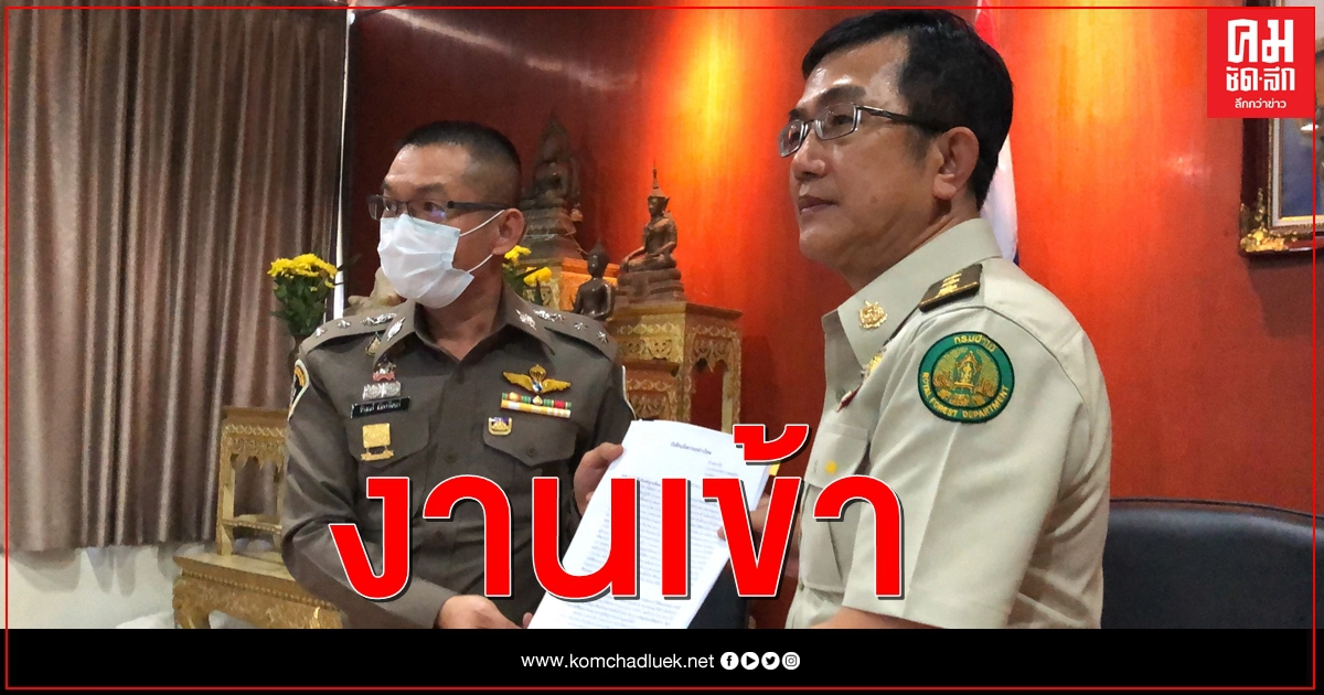 อธิบดีกรมป่าไม้ร้องปทส.เอาผิดแม่ "ธนาธร" ปมรุกป่าสงวน อธิบดีกรมป่าไม้ร้องปทส.เอาผิดแม่ "ธนาธร" ปมรุกป่าสงวน
