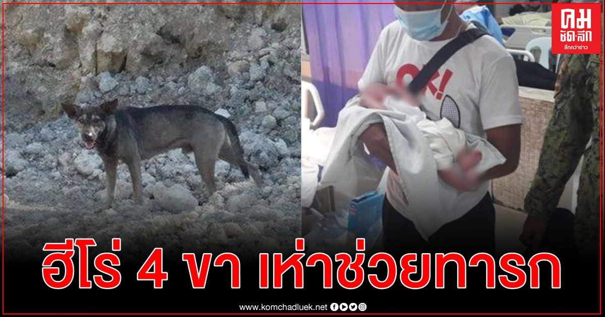 น้องหมาเห่าเรียกไม่หยุด จนคนขี่มอเตอร์ไซค์เอะใจตามไปดู เจอทารกถูกทิ้งร้องไห้จ้า น้องหมาเห่าเรียกไม่หยุด จนคนขี่มอเตอร์ไซค์เอะใจตามไปดู เจอทารกถูกทิ้งร้องไห้จ้า