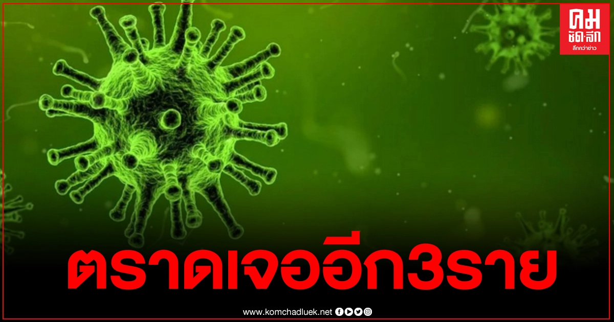 ตราด พบผู้ติดเชื้อเพิ่มอีก3ราย เร่งตามนักพนัน94รายมาตรวจ หลังจัดอยู่ในกลุ่มเสี่ยง ตราด พบผู้ติดเชื้อเพิ่มอีก3ราย เร่งตามนักพนัน94รายมาตรวจ หลังจัดอยู่ในกลุ่มเสี่ยง
