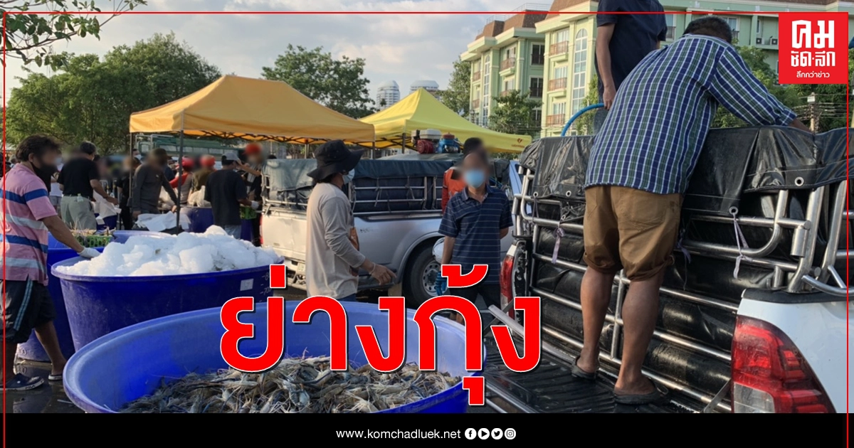 เตรียมจัดปาร์ตี้ย่างกุ้งหน้าทำเนียบคืนนี้ เตรียมจัดปาร์ตี้ย่างกุ้งหน้าทำเนียบคืนนี้