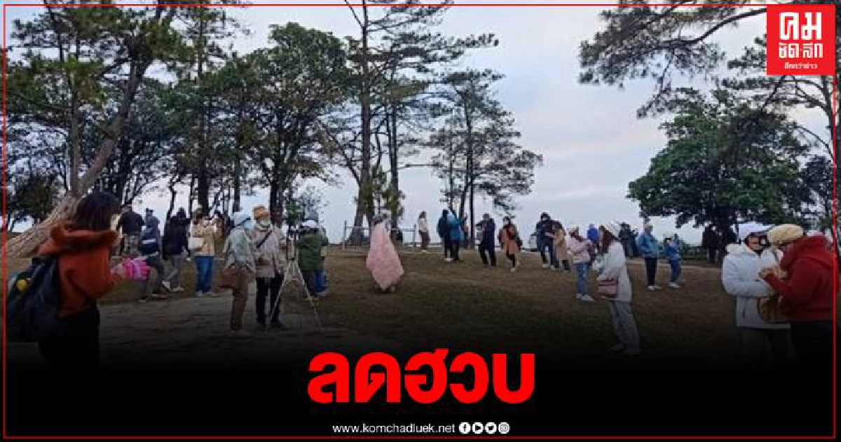 โควิดพ่นพิษ ยอด นทท. ลดฮวบแม้บนยอดภูอากาศจะหนาวจัด โควิดพ่นพิษ ยอด นทท. ลดฮวบแม้บนยอดภูอากาศจะหนาวจัด
