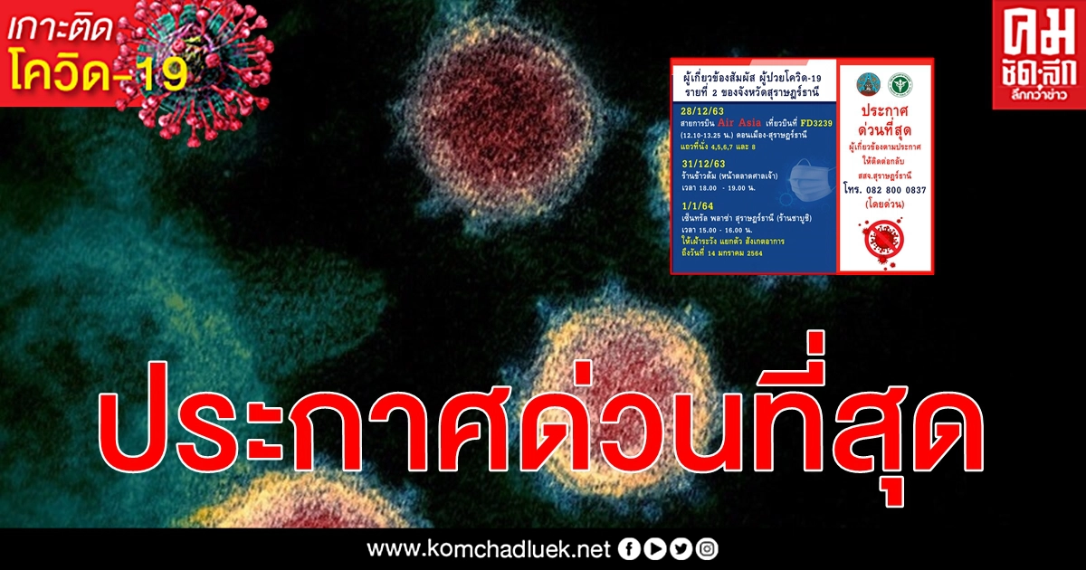 ด่วนที่สุด เช็กไทม์ไลน์ผู้ป่วย โควิด-19 รายที่ 2 สุราษฎ์ธานี ผู้สัมผัสติดต่อ สสจ.ทันที ด่วนที่สุด เช็กไทม์ไลน์ผู้ป่วย โควิด-19 รายที่ 2 สุราษฎ์ธานี ผู้สัมผัสติดต่อ สสจ.ทันที