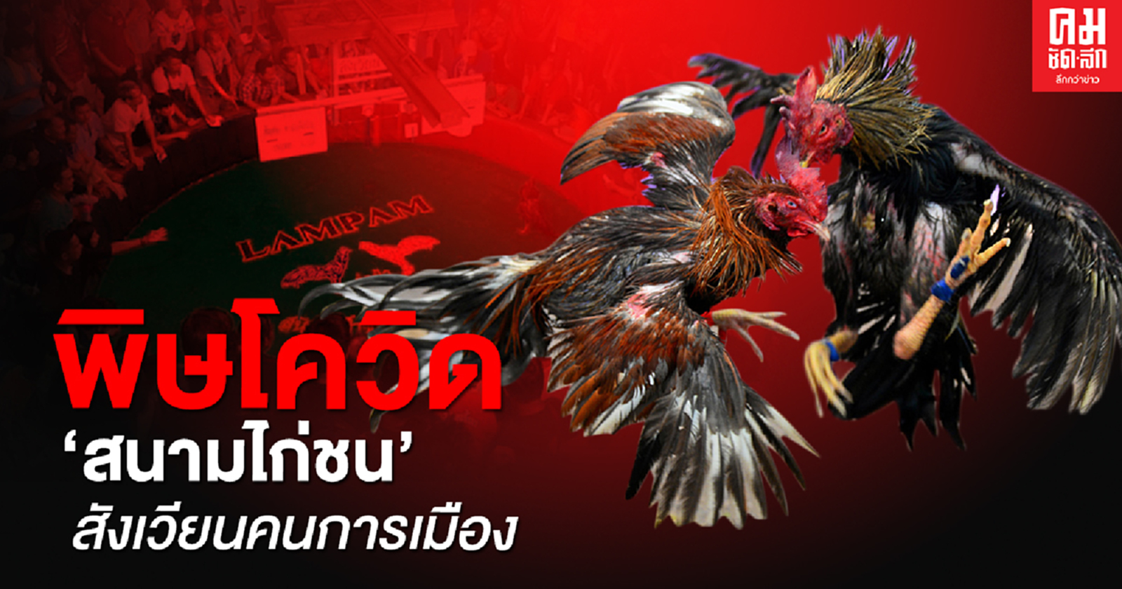 พิษโควิด "สนามไก่ชน" สังเวียนคนการเมือง