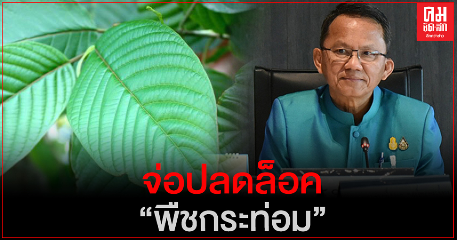 กมธ.ปลดล็อกพืชกระท่อมถกครบ 8 มาตรา หั่นเวลาบังคับใช้เหลือ 90 วัน นัดประชุมทบทวนอีกครั้ง 15 ม.ค.