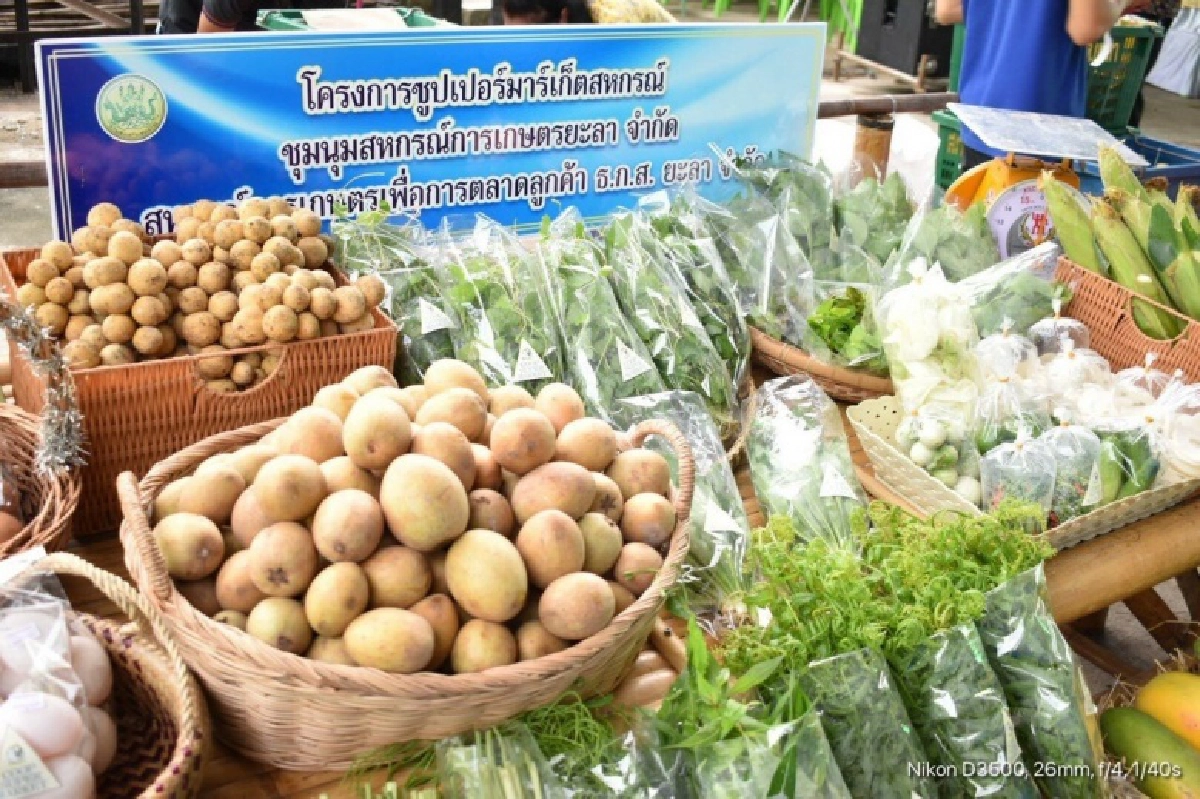 กรมส่งเสริมสหกรณ์ดันซูเปอร์มาเก็ตสหกรณ์ขายสินค้าปลอดภัยช่วงโควิด เน้นสด สะอาด ราคายุติธรรมจากแหล่งผลิตของเกษตรกรโดยตรง