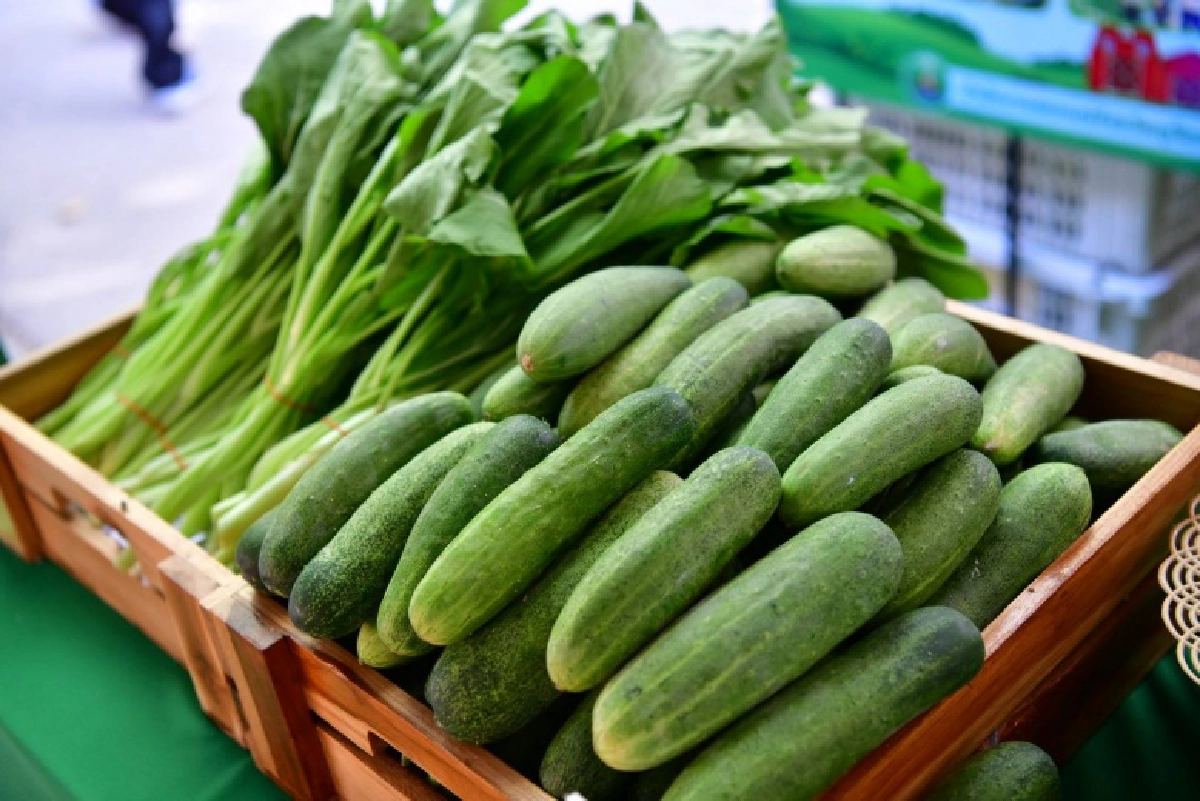 กรมส่งเสริมสหกรณ์ดันซูเปอร์มาเก็ตสหกรณ์ขายสินค้าปลอดภัยช่วงโควิด เน้นสด สะอาด ราคายุติธรรมจากแหล่งผลิตของเกษตรกรโดยตรง