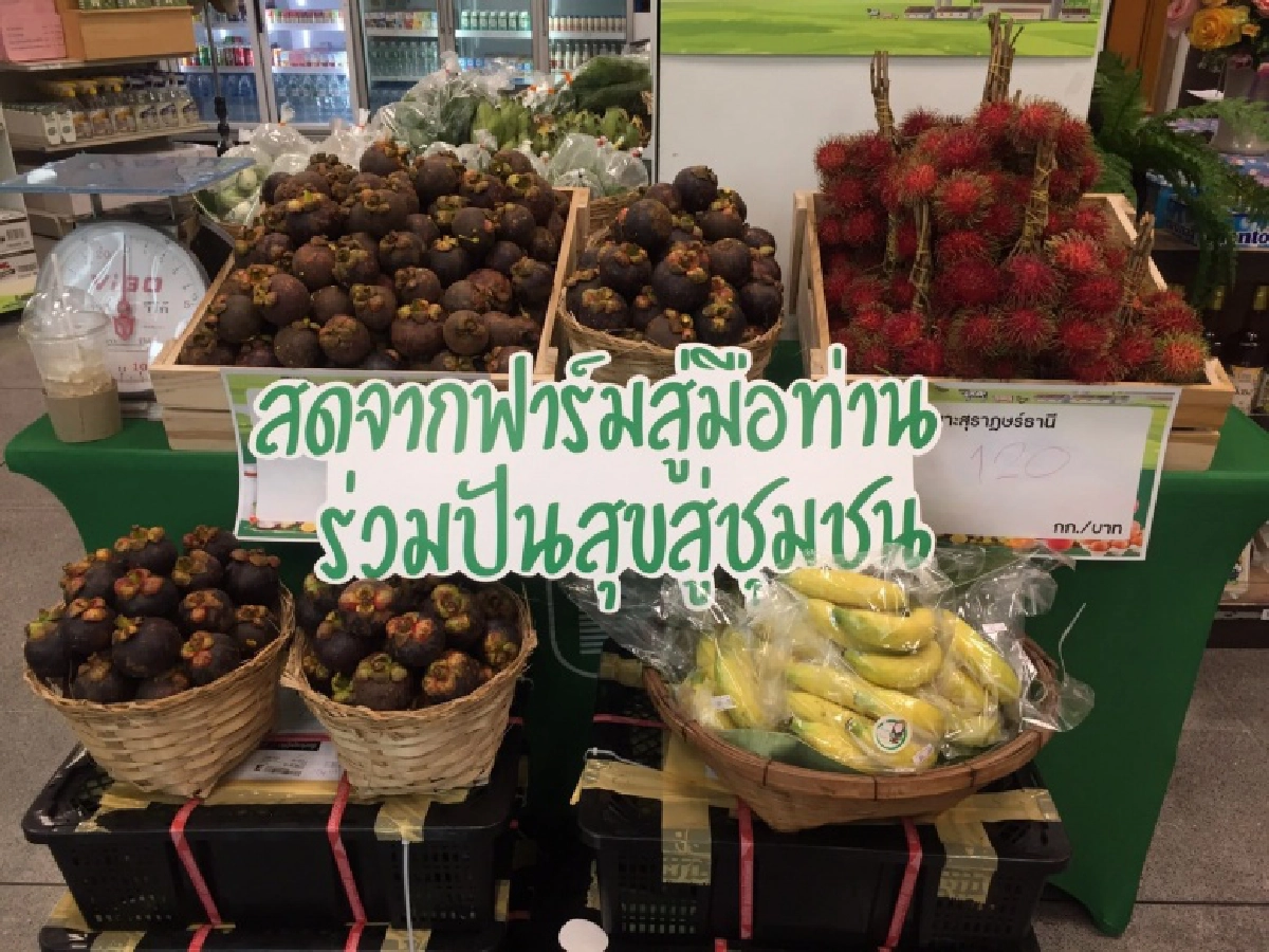 กรมส่งเสริมสหกรณ์ดันซูเปอร์มาเก็ตสหกรณ์ขายสินค้าปลอดภัยช่วงโควิด เน้นสด สะอาด ราคายุติธรรมจากแหล่งผลิตของเกษตรกรโดยตรง