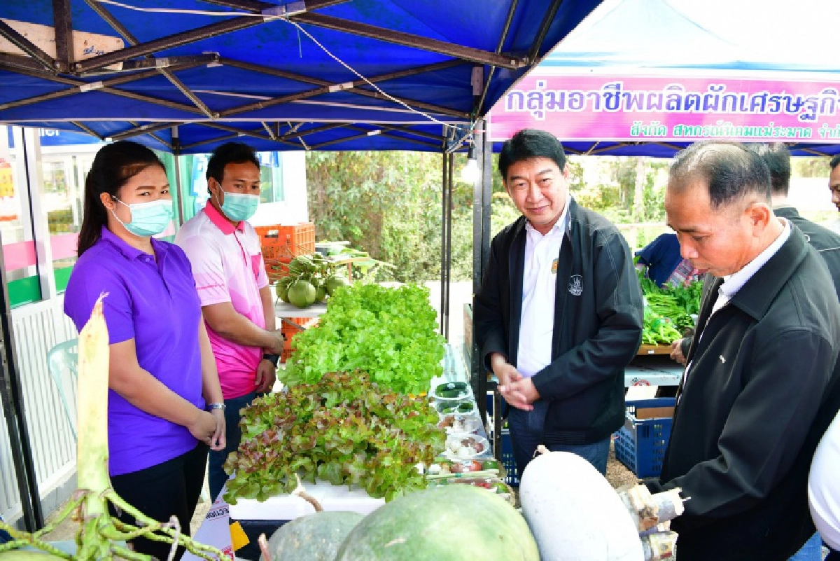 กรมส่งเสริมสหกรณ์ดันซูเปอร์มาเก็ตสหกรณ์ขายสินค้าปลอดภัยช่วงโควิด เน้นสด สะอาด ราคายุติธรรมจากแหล่งผลิตของเกษตรกรโดยตรง