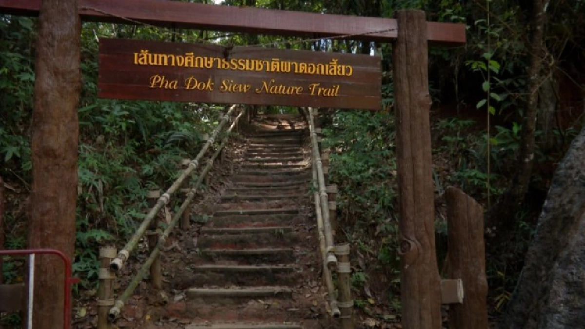 "ดอยอินทนนท์" ประกาศปิดเส้นทางกิ่วแม่ปาน หลังพบผู้ติดเชื้อ "โควิด-19"