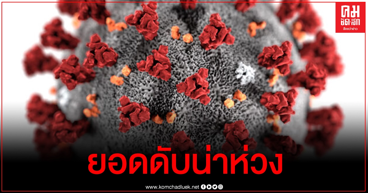 สถานการณ์โควิด-19 ทั่วโลก ตัวเลขผู้เสียชีวิต 24 ชม.ทะลุ 15,000 ราย 2 วันติด สถานการณ์โควิด-19 ทั่วโลก ตัวเลขผู้เสียชีวิต 24 ชม.ทะลุ 15,000 ราย 2 วันติด