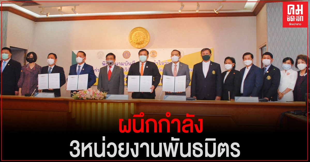 มหาวิทยาลัยเกษตรศาสตร์ AICกรุงเทพฯ ผนึกกำลัง 3 หน่วยงานพันธมิตร ร่วมมือวิจัยและพัฒนาขับเคลื่อนโครงการ "KUตลาดอาหาร ปลอดภัย" ให้เป็น Market Place