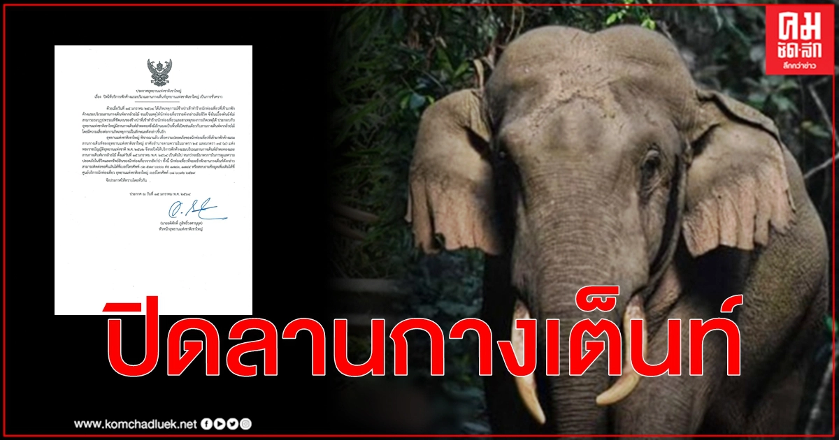 เขาใหญ่แจ้งปิดลานกางเต็นท์ชั่วคราว หลังช้างป่าทำร้ายนักท่องเที่ยวดับ