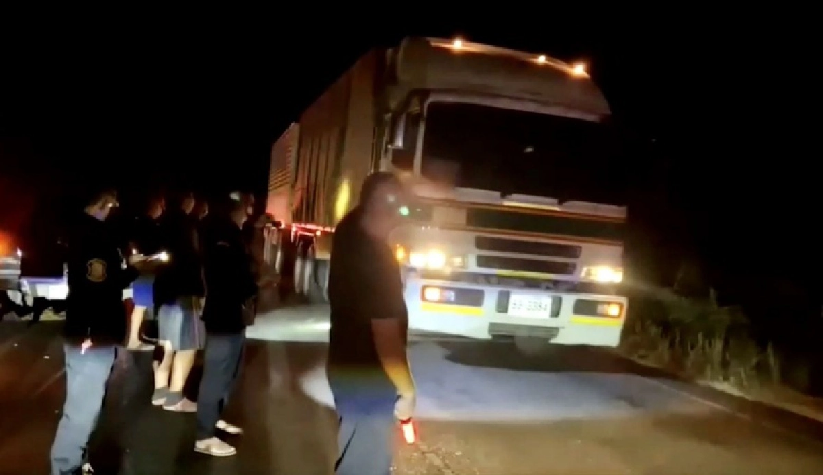 สงสารจับใจ ช้างป่าเขาอ่างฤาไนโดน 18 ล้อชนขาหัก พยุงร่างเดินกะเผลกกลับเข้าป่า