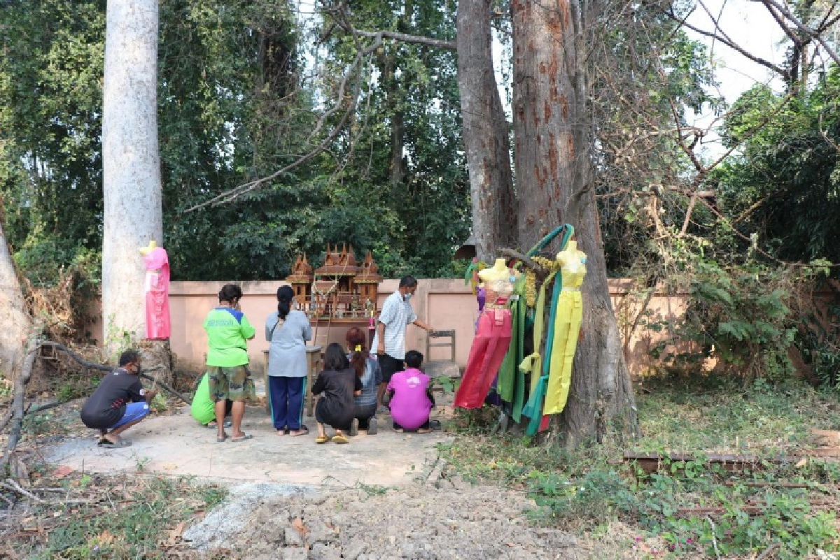 ใกล้หวยออก ชาวบ้านแห่ขอเลขเด็ดตะเคียนคู่ อายุกว่า 100 ปี