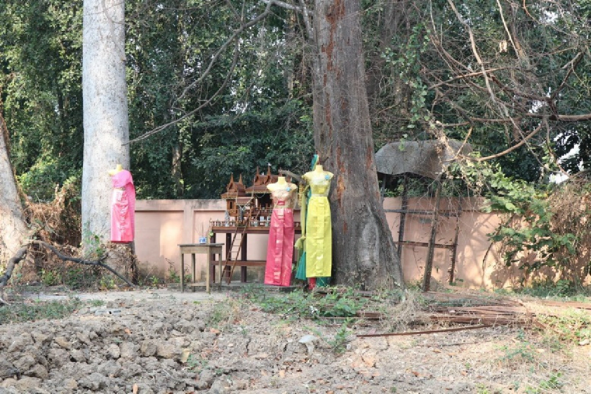 ใกล้หวยออก ชาวบ้านแห่ขอเลขเด็ดตะเคียนคู่ อายุกว่า 100 ปี