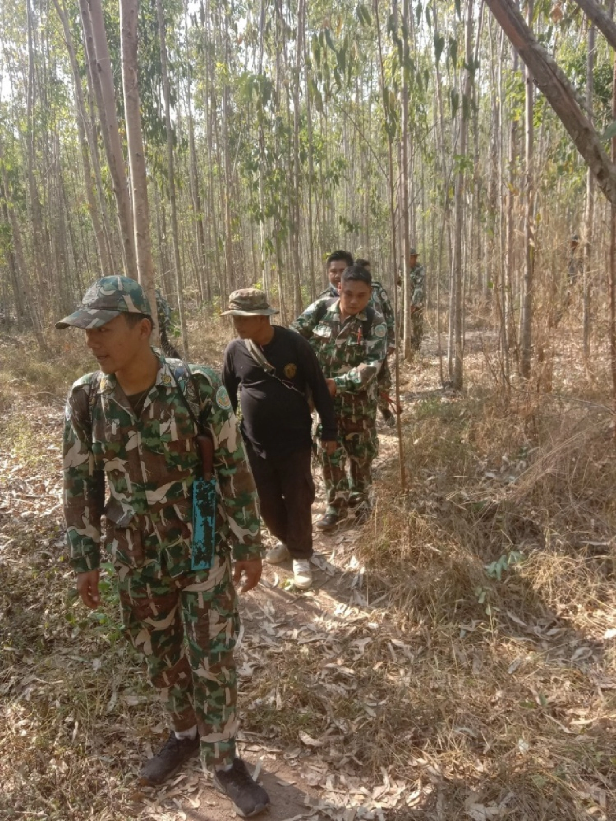 เจ้าหน้าที่เผยอาการล่าสุด "ช้างป่าเขาอ่างฤๅไน​" ถูกรถบรรทุกชนเจ็บ