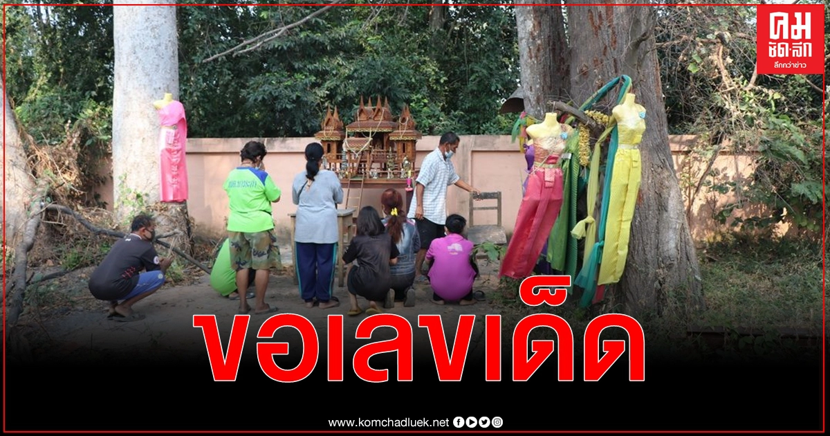 ใกล้หวยออก ชาวบ้านแห่ขอเลขเด็ดตะเคียนคู่ อายุกว่า 100 ปี ใกล้หวยออก ชาวบ้านแห่ขอเลขเด็ดตะเคียนคู่ อายุกว่า 100 ปี