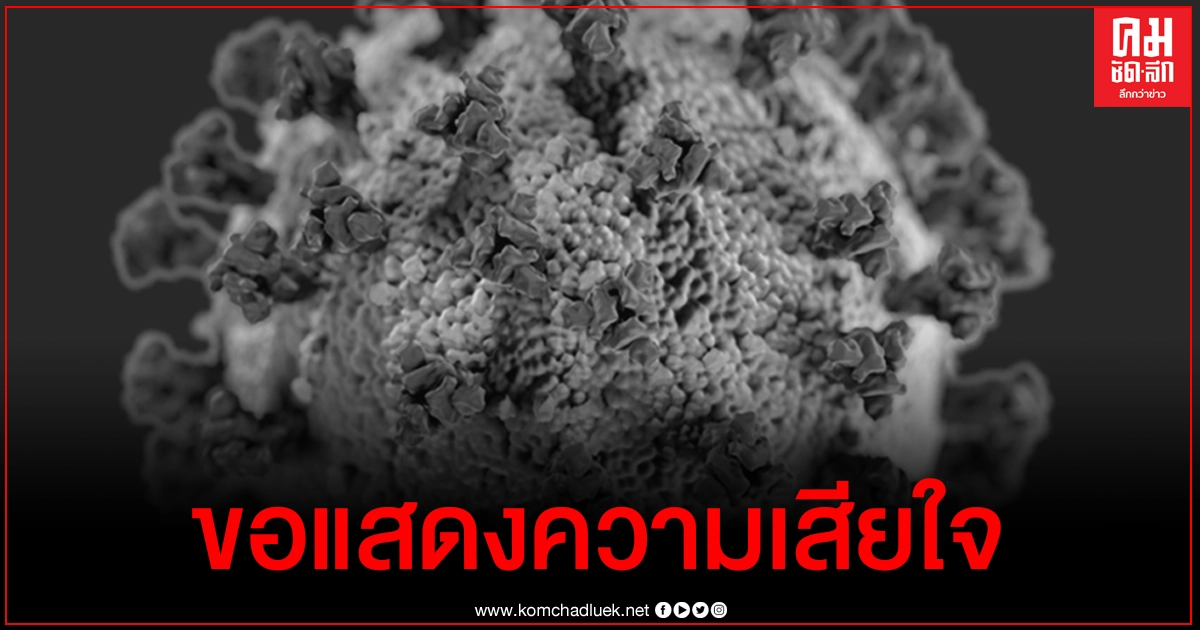 เปิดรายละเอียดผู้เสียชีวิตจากโควิด-19 รายล่าสุด ไม่พบโรคประจำตัว ไปสถานบันเทิง กทม. เปิดรายละเอียดผู้เสียชีวิตจากโควิด-19 รายล่าสุด ไม่พบโรคประจำตัว ไปสถานบันเทิง กทม.