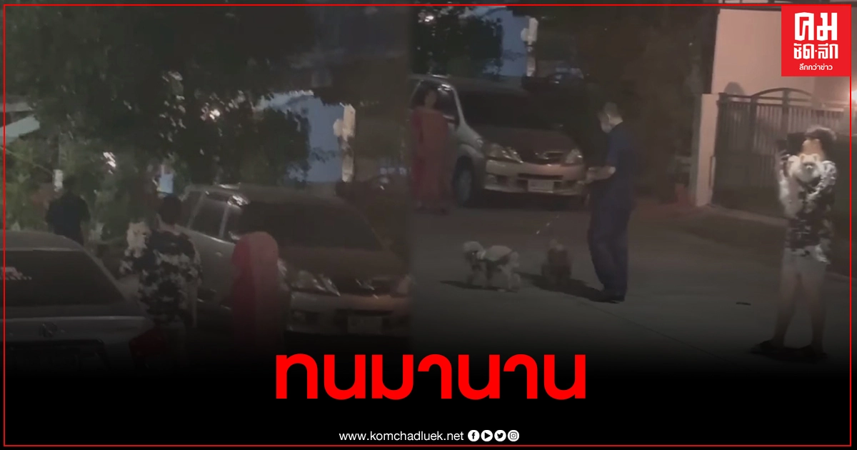 สาวสุดทน อัดคลิปแฉ คนพาหมามาฉี่หน้าบ้านคนอื่นแล้วไม่ล้าง ลั่นถามจิตใต้สำนึกมีมั้ย สาวสุดทน อัดคลิปแฉ คนพาหมามาฉี่หน้าบ้านคนอื่นแล้วไม่ล้าง ลั่นถามจิตใต้สำนึกมีมั้ย