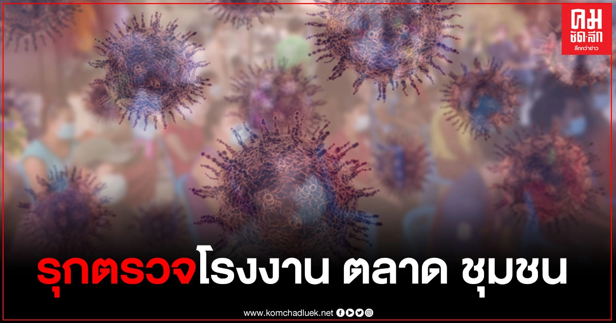 ปลัด สธ.เผยแรงงานต่างด้าวสมุทรสาคร ติดโควิดสูง รุกตรวจโรงงาน ตลาด ชุมชน สกัดแพร่เชื้อ ปลัด สธ.เผยแรงงานต่างด้าวสมุทรสาคร ติดโควิดสูง รุกตรวจโรงงาน ตลาด ชุมชน สกัดแพร่เชื้อ