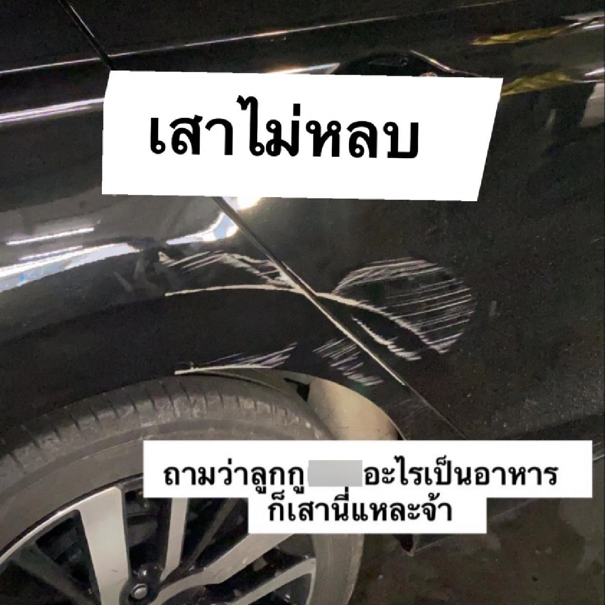 สาวรีวิวใช้รถป้ายแดงมา 5 เดือน เก็บทุกหลุม ชนทุกเสา สอยกระถางลงพุ่มไม้ จนต้องจำใจแก้ด้วยวิธีสุดพีคแทน 