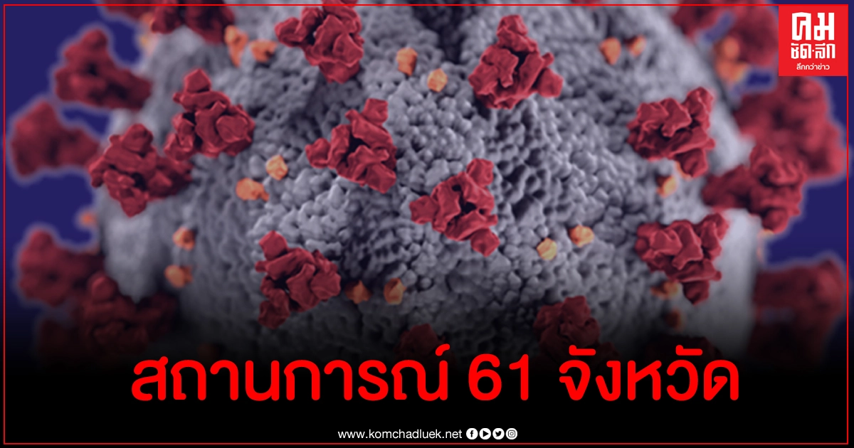 เปิดตัวเลขผู้ติดเชื้อโควิด-19 ระลอกใหม่ 10 อันดับแรก สถานการณ์ทั้ง 61 จังหวัด เปิดตัวเลขผู้ติดเชื้อโควิด-19 ระลอกใหม่ 10 อันดับแรก สถานการณ์ทั้ง 61 จังหวัด