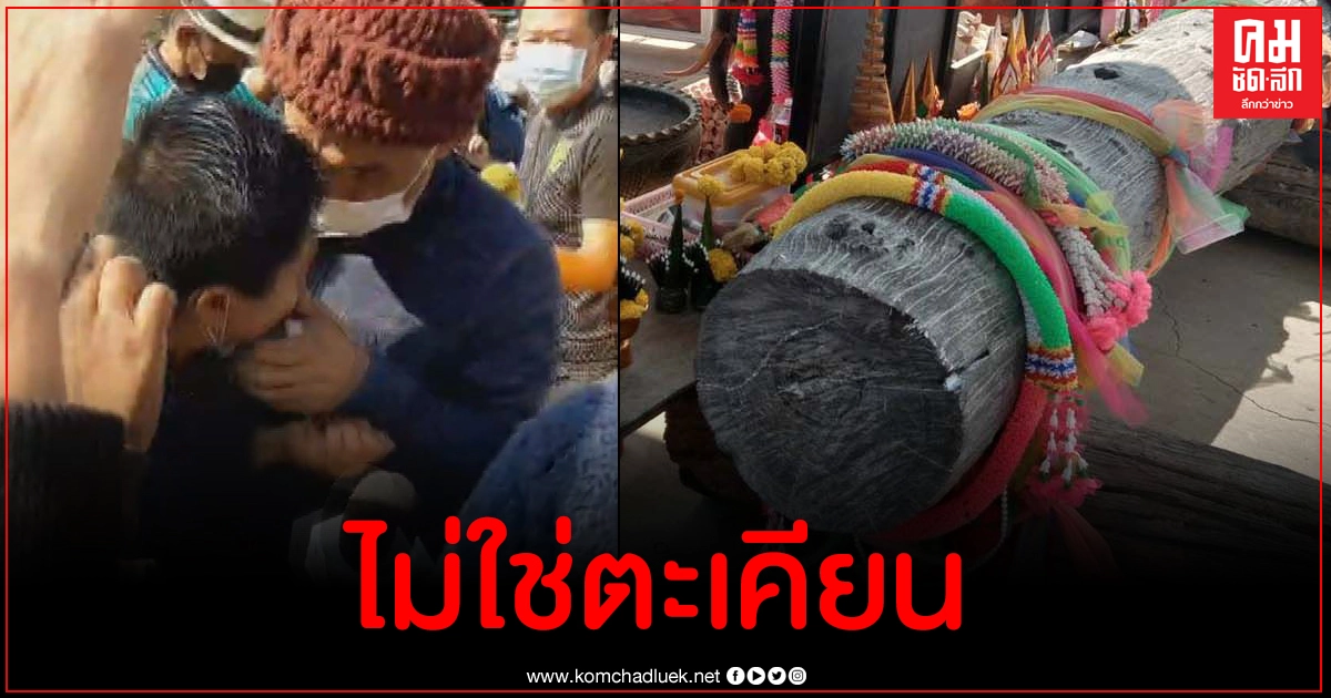 เจ้าแม่บ้านลุงพลไม่ใช่ตะเคียน เข้าข่ายครอบครองไม้หวงห้าม นักข่าวแจ้งความโดนบีบคอ เจ้าแม่บ้านลุงพลไม่ใช่ตะเคียน เข้าข่ายครอบครองไม้หวงห้าม นักข่าวแจ้งความโดนบีบคอ
