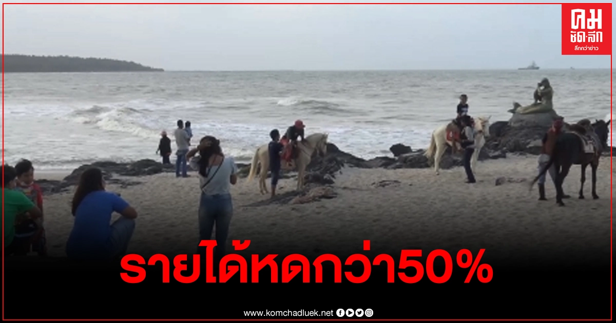 ม้าคาวบอยสมิหลาเจอโควิด-19รายได้ลดกว่า 50% ประคองตัวม้าพึ่งคนคนพึ่งม้า