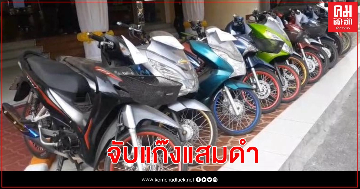 รวบแล้ว "แก๊งแสมดำ" ตระเวนขโมย จยย. 300 คัน รวบแล้ว "แก๊งแสมดำ" ตระเวนขโมย จยย. 300 คัน