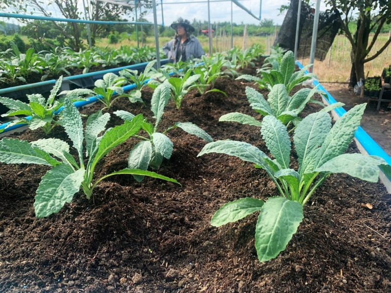 ติวเข้มเกษตรกร-ผู้ประกอบการ ใช้และแสดงเครื่องหมาย Q  