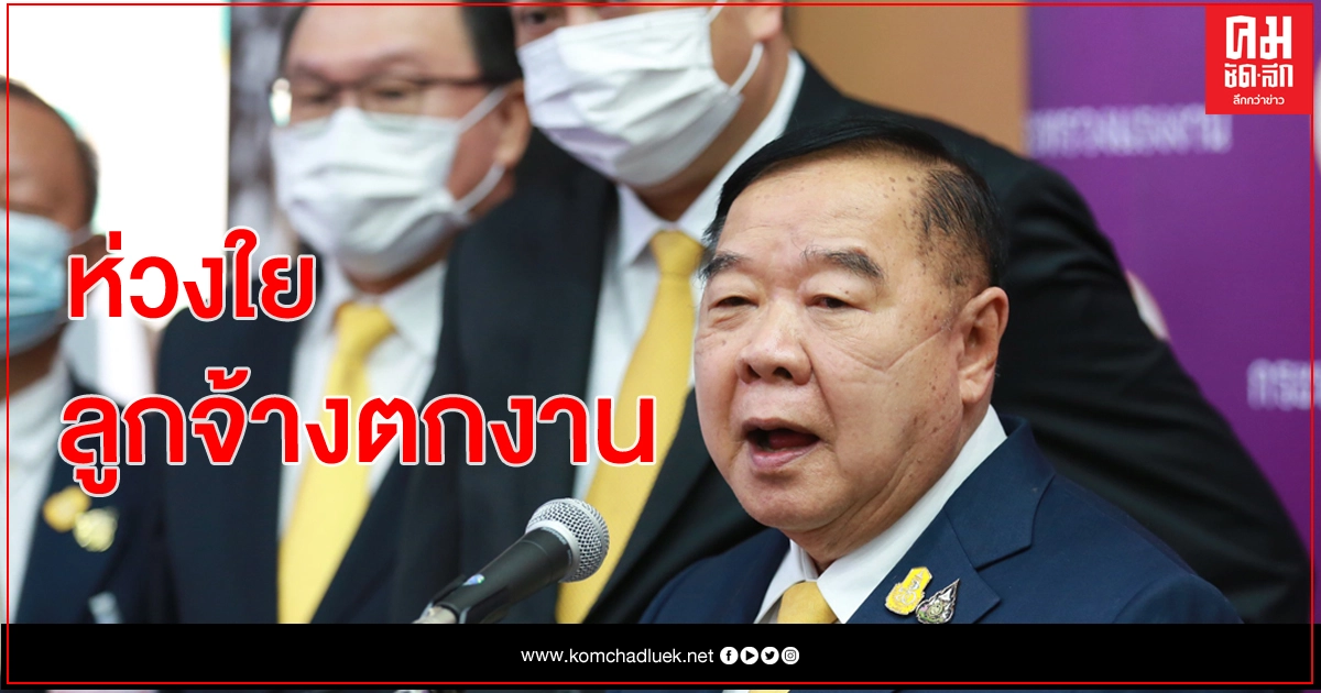 'ประวิตร' กำชับเร่งช่วยเหลือลูกจ้างตกงาน บรรเทาผลกระทบโควิด 'ประวิตร' กำชับเร่งช่วยเหลือลูกจ้างตกงาน บรรเทาผลกระทบโควิด