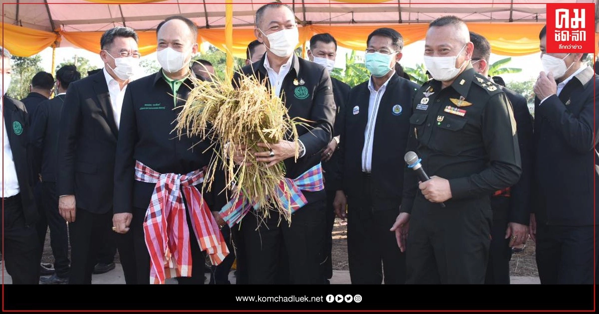 รัฐมนตรีเกษตรฯ นำทีมผู้บริหาร เยี่ยมชมการทดสอบการปฏิบัติงานนวัตกรรมรถเกี่ยวข้าวขนาดเล็กที่คิดค้นและพัฒนาขึ้น เพื่อช่วยลดต้นทุนและเพิ่มผลผลิตให้กับเกษตรกร รัฐมนตรีเกษตรฯ นำทีมผู้บริหาร เยี่ยมชมการทดสอบการปฏิบัติงานนวัตกรรมรถเกี่ยวข้าวขนาดเล็กที่คิดค้นและพัฒนาขึ้น เพื่อช่วยลดต้นทุนและเพิ่มผลผลิตให้กับเกษตรกร
