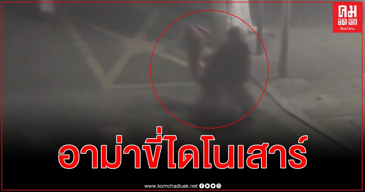 (คลิป) ว่อนเน็ตจีนแห่แชร์ อาม่าขี่ไดโนเสาร์ บนถนนยามวิกาล ตร. รุดสอบตักเตือนจะไม่ทำอีก