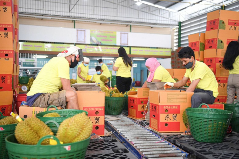 เกษตรฯ ปลื้ม จีนชมระบบการจัดการป้องกันปนเปื้อนไวรัสโควิด-19ในสินค้าผักและผลไม้สดจากไทย