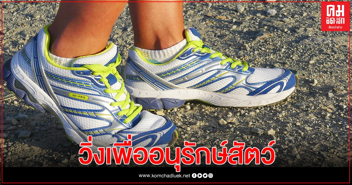5 องค์กรผนึก "วิ่งวิถีใหม่ ไม่ทอดทิ้งสัตว์ป่า" ชูอนุรักษ์สัตว์สงวน19 ชนิด 5 องค์กรผนึก "วิ่งวิถีใหม่ ไม่ทอดทิ้งสัตว์ป่า" ชูอนุรักษ์สัตว์สงวน19 ชนิด