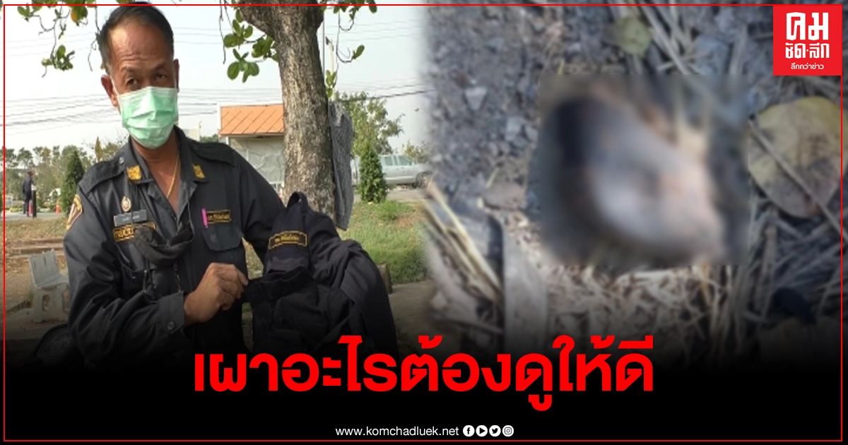 หัวหน้า รปภ.เขื่อนเจ้าพระยา หวิดดับ หลังเผาขยะเจอลูกเหล็กเปตองระเบิดใส่ หัวหน้า รปภ.เขื่อนเจ้าพระยา หวิดดับ หลังเผาขยะเจอลูกเหล็กเปตองระเบิดใส่