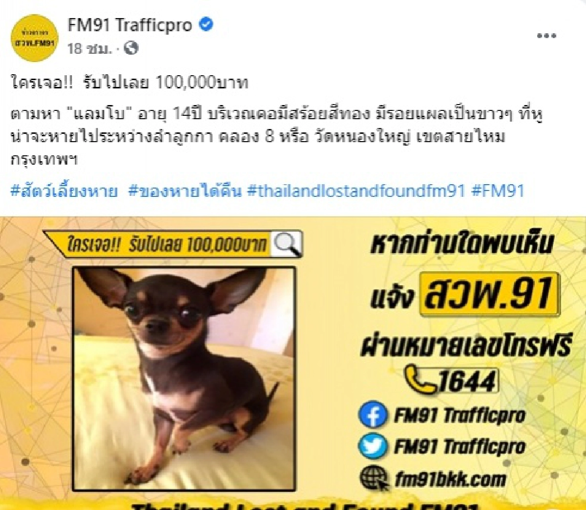 ป้าร้านก๋วยเตี๋ยว เก็บสุนัขได้ ปฎิเสธรับเงินแสน หลังเจ้าของประกาศตามหา ใครเจอให้ 1 แสนบาท  