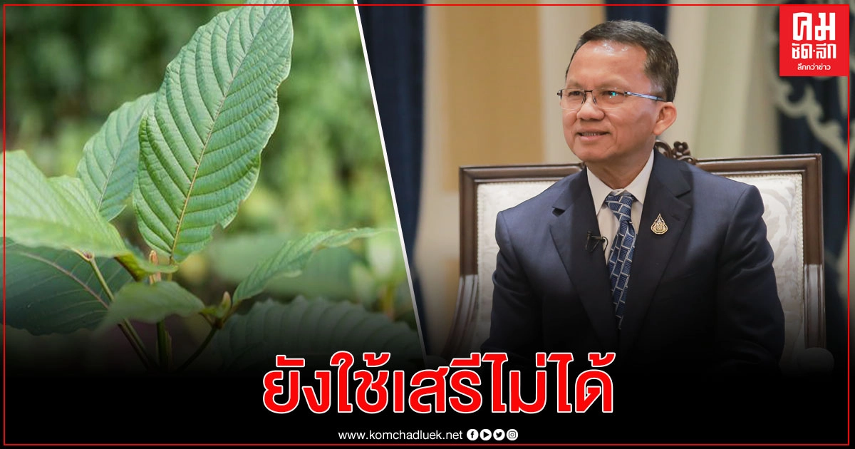 รมว.ยุติธรรม เตือน"กระท่อม"ยังใช้เสรีไม่ได้แม้ผ่านสภาแล้ว คาดมีผล มิ.ย. รมว.ยุติธรรม เตือน"กระท่อม"ยังใช้เสรีไม่ได้แม้ผ่านสภาแล้ว คาดมีผล มิ.ย.