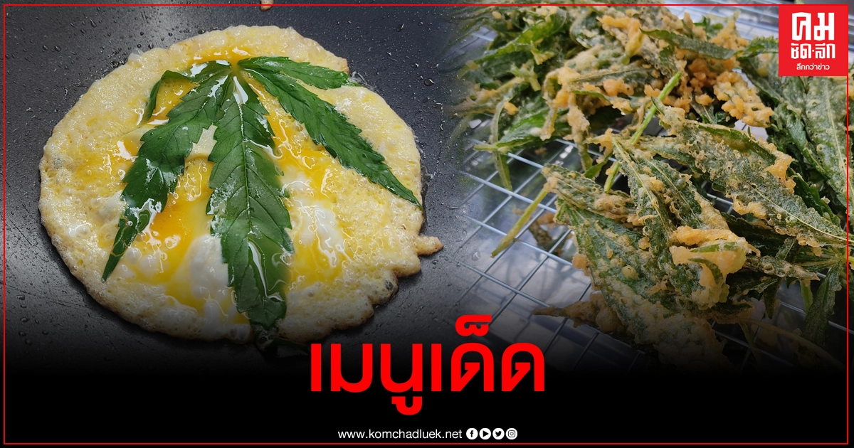 เปิด 2 เมนูเด็ดจากใบกัญชาเอาใจสายเขียว ชาวเน็ตแห่คอมเมนต์