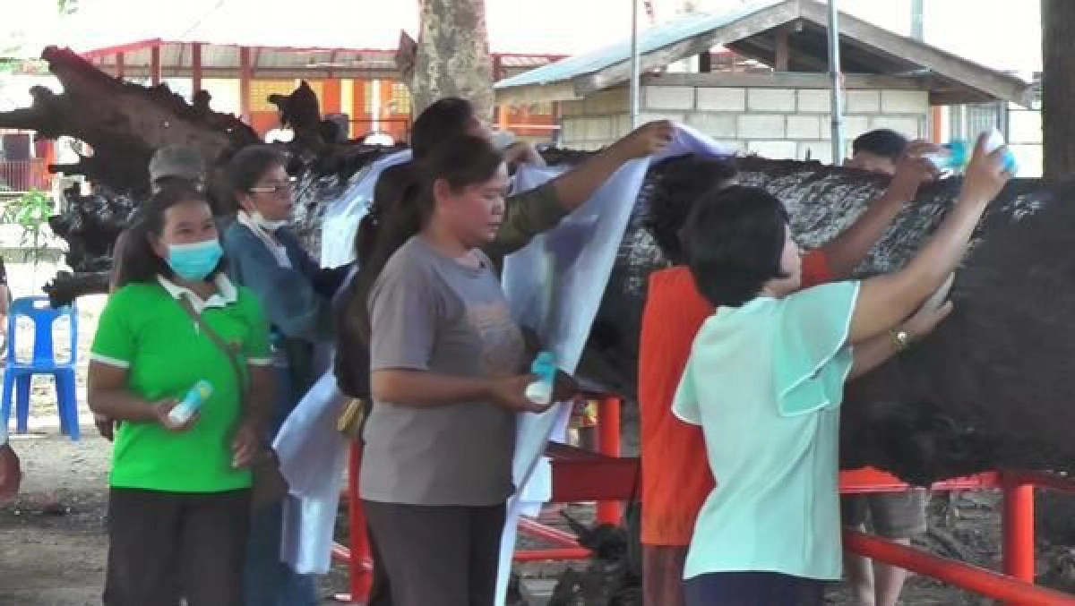 ใกล้หวยออก ชาวบ้านแห่ขอโชคต้นตะเคียน หลังงวดที่แล้วถูกเลขท้าย 2 ตัวยกหมู่บ้าน