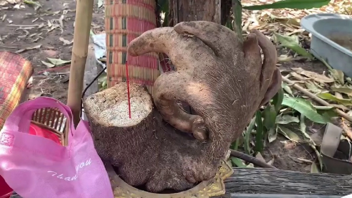 หาธูปให้ไว แตกตื่นมันประหลาดคล้ายมือคนทำท่า "โอเค" เล่าขนลุกฝันเห็นหญิงท้องแก่ก่อนเจอ
