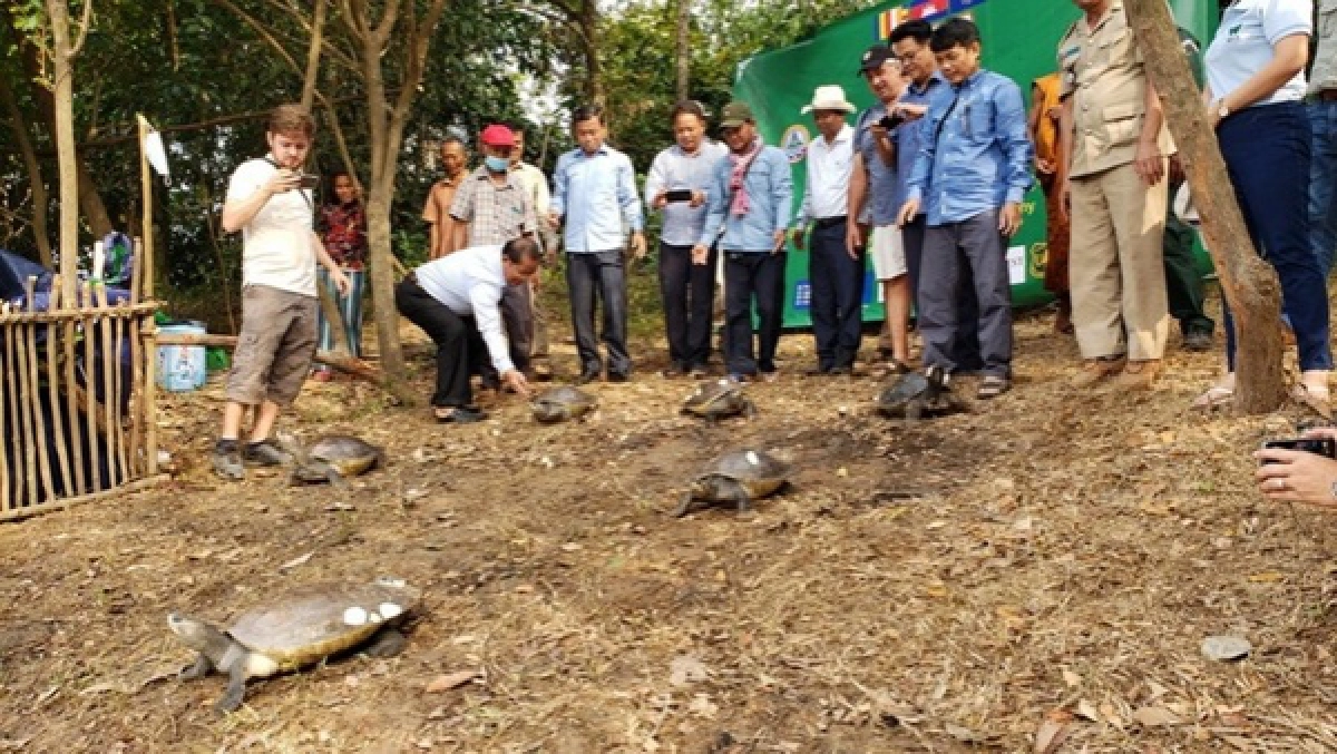 เต่าหลวง, ข่าว, ข่าววันนี้, คมชัดลึก