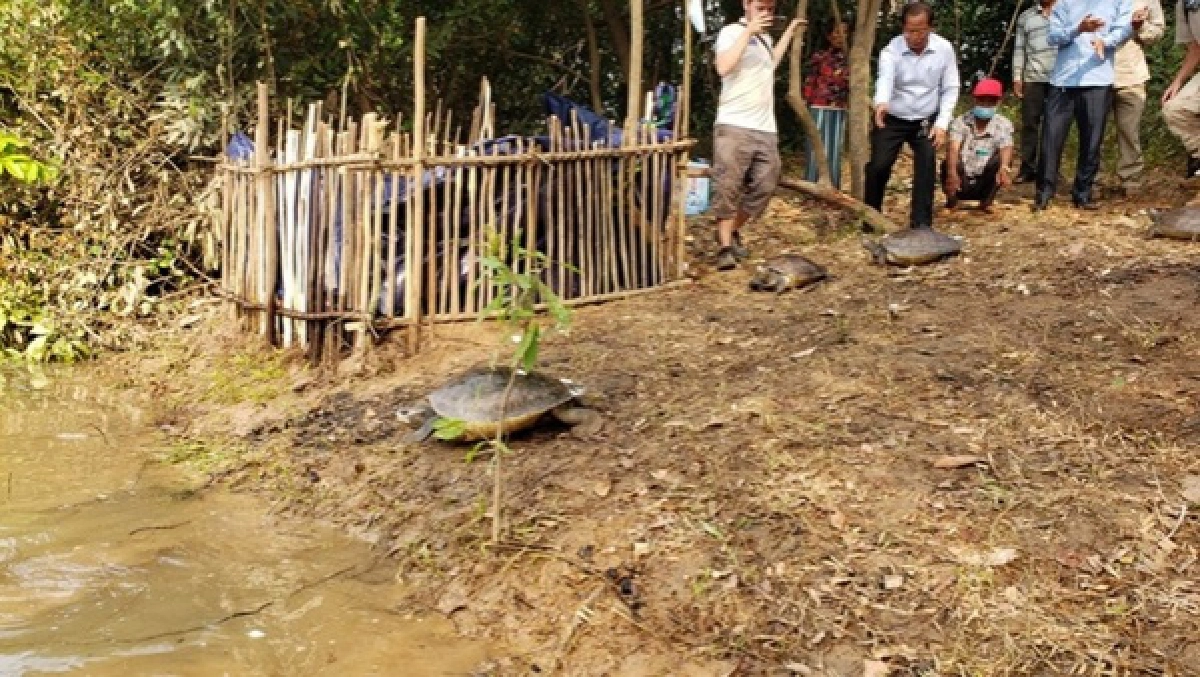 เต่าหลวง, ข่าว, ข่าววันนี้, คมชัดลึก
