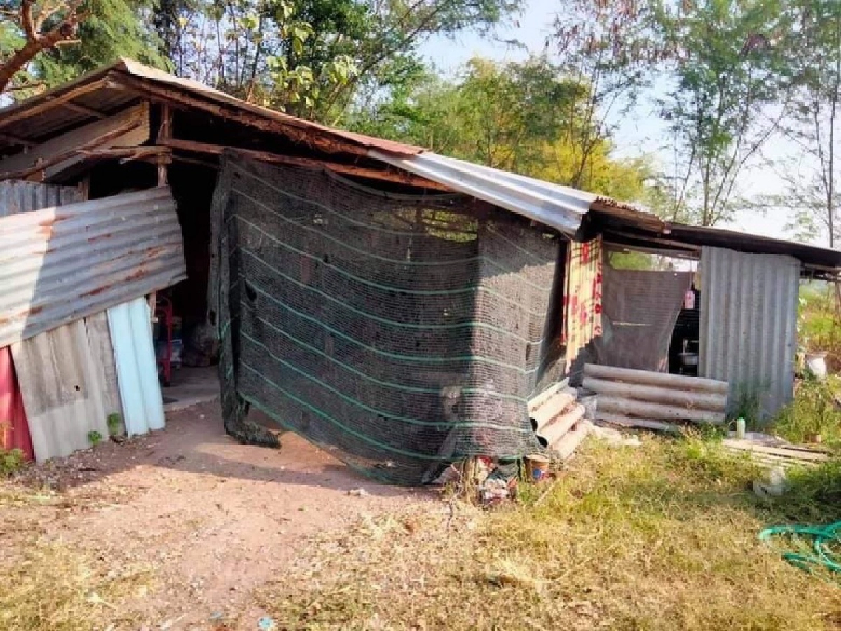 จิตอาสา904 เตรียมสร้างบ้านให้สาวพิการป่วยติดเตียง