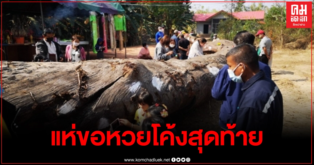 ฮือฮาขุดพบตะเคียนยักษ์อายุกว่า 300 ปี ชาวบ้านแห่ขอหวยโค้งสุดท้าย ฮือฮาขุดพบตะเคียนยักษ์อายุกว่า 300 ปี ชาวบ้านแห่ขอหวยโค้งสุดท้าย