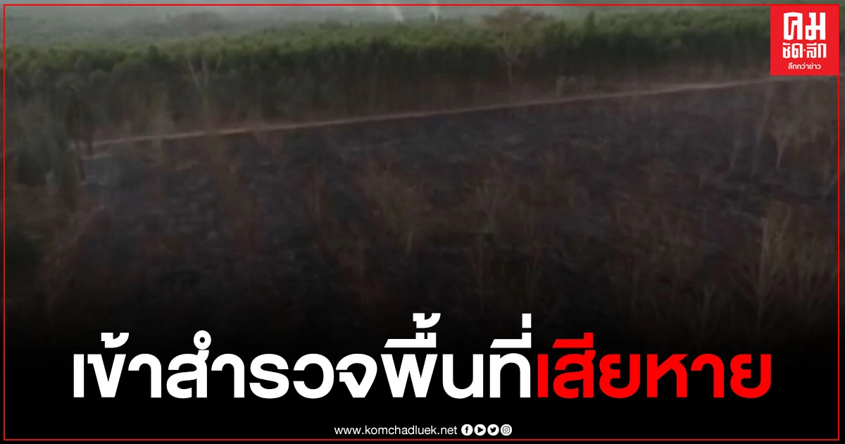 ชุดดับไฟป่า เข้าสำรวจพื้นที่เสียหายเหตุไฟไหม้ป่า อ.ท่าตะเกียบ ชุดดับไฟป่า เข้าสำรวจพื้นที่เสียหายเหตุไฟไหม้ป่า อ.ท่าตะเกียบ