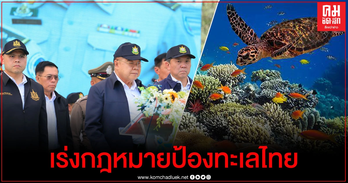 "วราวุธ" ดันกฎหมายลำดับรองกว่า 13 ฉบับรักษาทะเลไทย "บิ๊กป้อม "กำชับเร่งประกาศก่อนทรัพยากรเสียหาย "วราวุธ" ดันกฎหมายลำดับรองกว่า 13 ฉบับรักษาทะเลไทย "บิ๊กป้อม "กำชับเร่งประกาศก่อนทรัพยากรเสียหาย