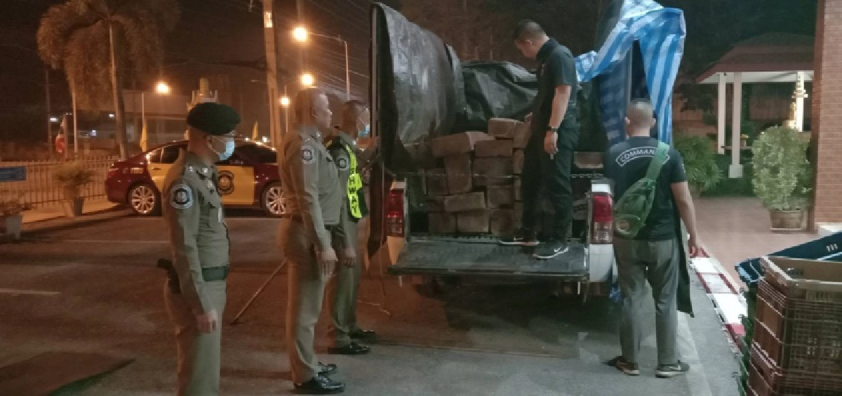 ตร.ทล.พิษณุโลก เมินสินบนลุงวัย 67 ปี สกัดไม้ชิงชันจากแพร่ ส่งมอบลูกค้าปากน้ำ 